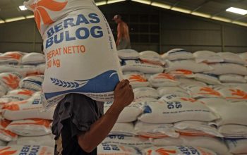 Bulog Ungkap Kunci Keberhasilan Swasembada Pangan Nasional