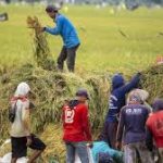 Kemandirian Pangan di Tengah Ketegangan Geopolitik Global Jadi Sorotan