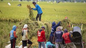 Kemandirian Pangan di Tengah Ketegangan Geopolitik Global Jadi Sorotan