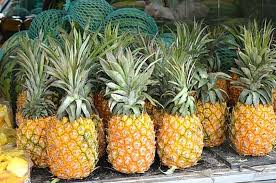 Kawasan Transmigrasi Didorong Miliki Komoditas Unggulan