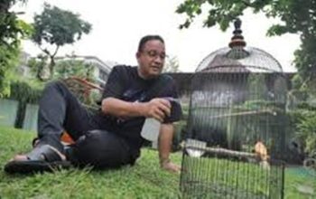 Nasdem Tanggapi Dukungan Partai Baru untuk Anies di Pilpres 2029