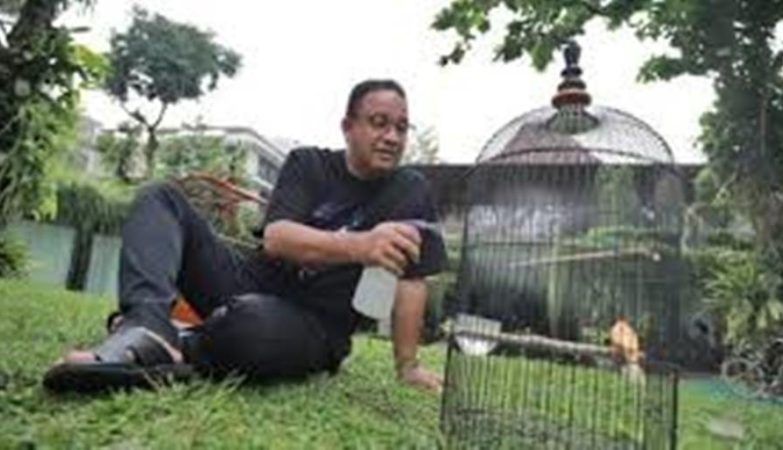 Nasdem Tanggapi Dukungan Partai Baru untuk Anies di Pilpres 2029