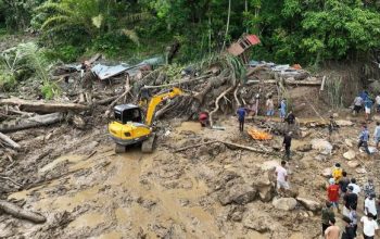 Sekitar 1,2 Juta Hektare Kawasan Hutan di Sumatra Disebut Beralih Fungsi
