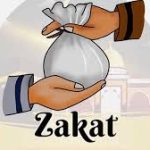 Distribusi Zakat Diklaim Semakin Terarah dan Dampak Nyata bagi Kesejahteraan Mustahik