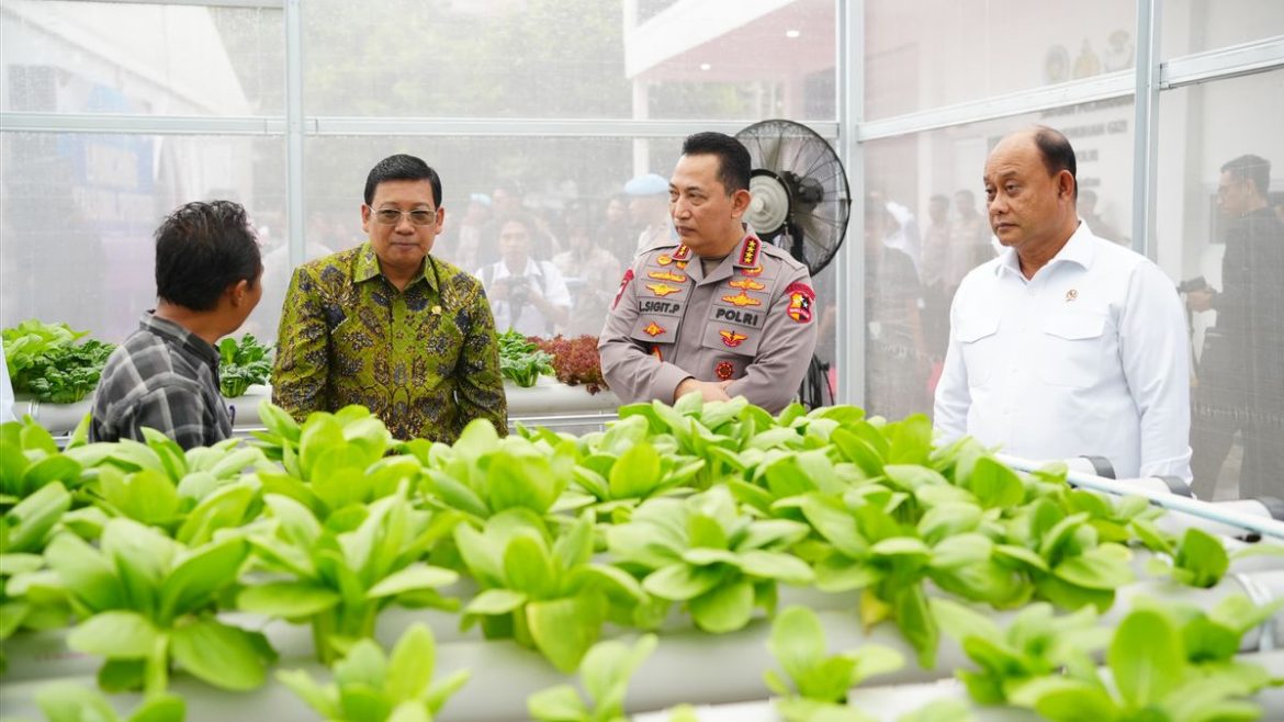 Program MBG Ditegaskan Timbulkan Kerugian Rp622 Miliar Per Minggu