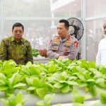 Program MBG Ditegaskan Timbulkan Kerugian Rp622 Miliar Per Minggu