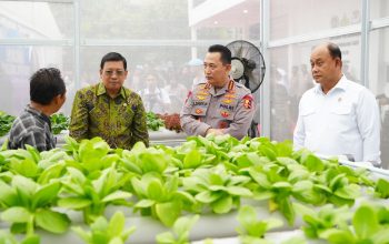 Program MBG Ditegaskan Timbulkan Kerugian Rp622 Miliar Per Minggu