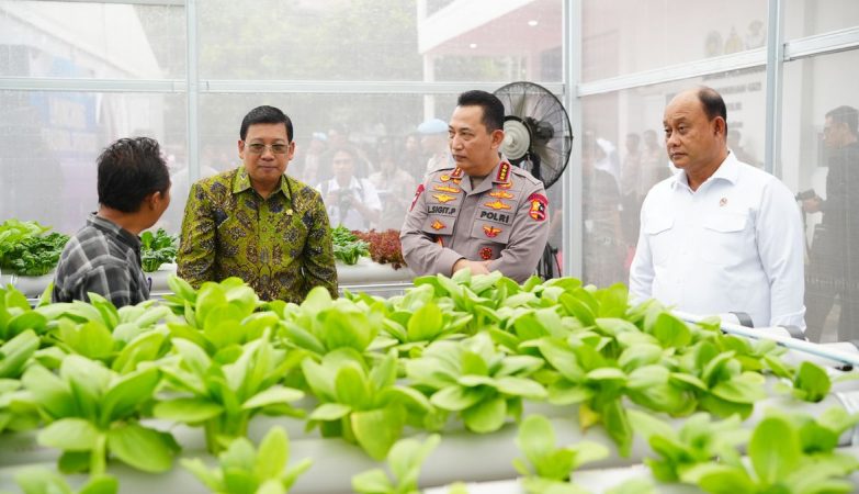 Program MBG Ditegaskan Timbulkan Kerugian Rp622 Miliar Per Minggu