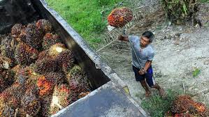 Tetapkan 11 Tersangka, Kejagung Geledah Sejumlah Lokasi terkait Dugaan Korupsi CPO yang Disamarkan dengan Modus POME
