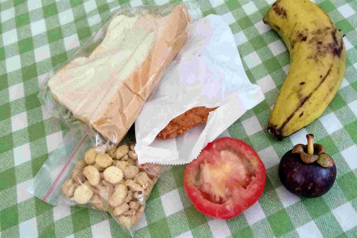 MBG, Dukungan Elite, dan Pertaruhan Politik 2029